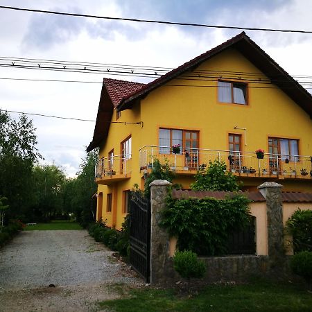 Pensiunea Ramona Cărpinişu Dış mekan fotoğraf