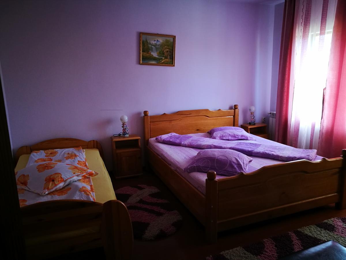 Pensiunea Ramona Cărpinişu Dış mekan fotoğraf