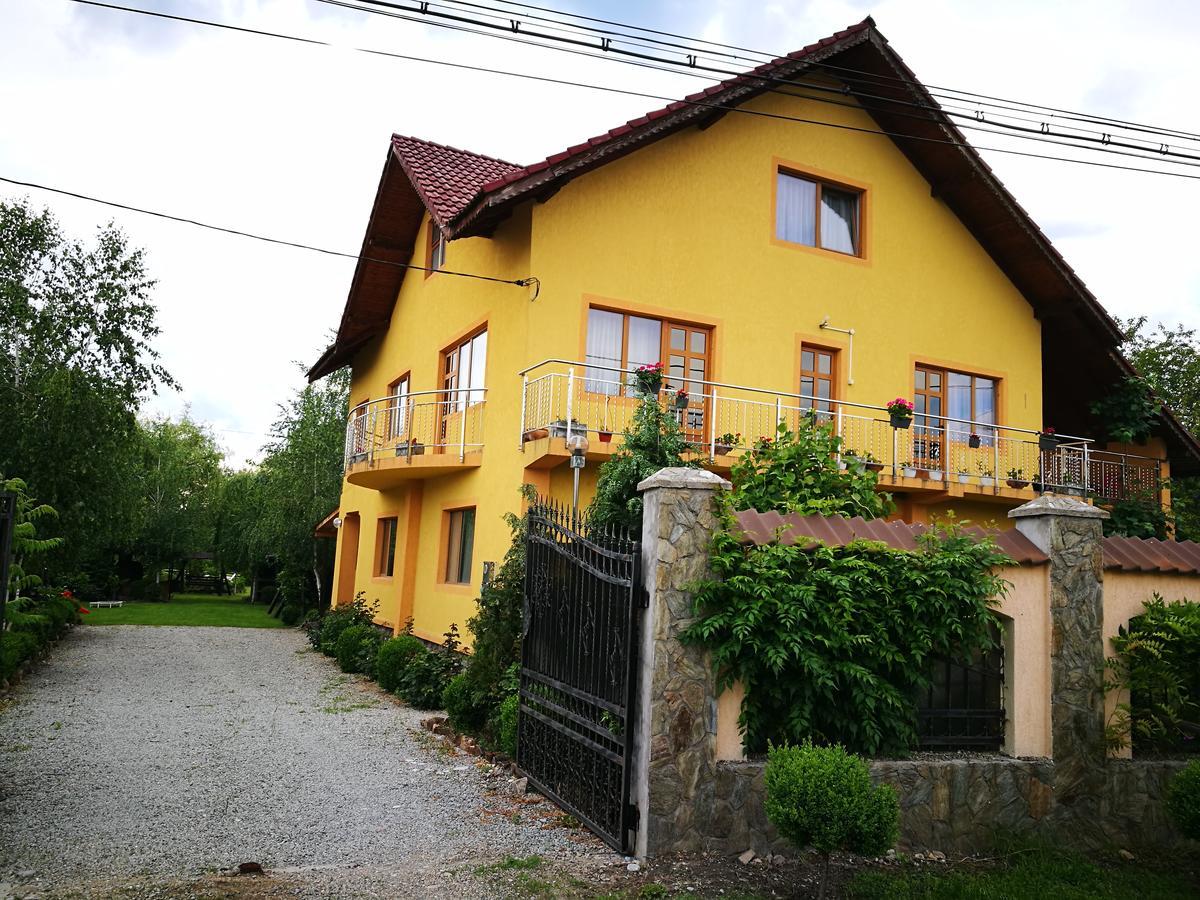 Pensiunea Ramona Cărpinişu Dış mekan fotoğraf