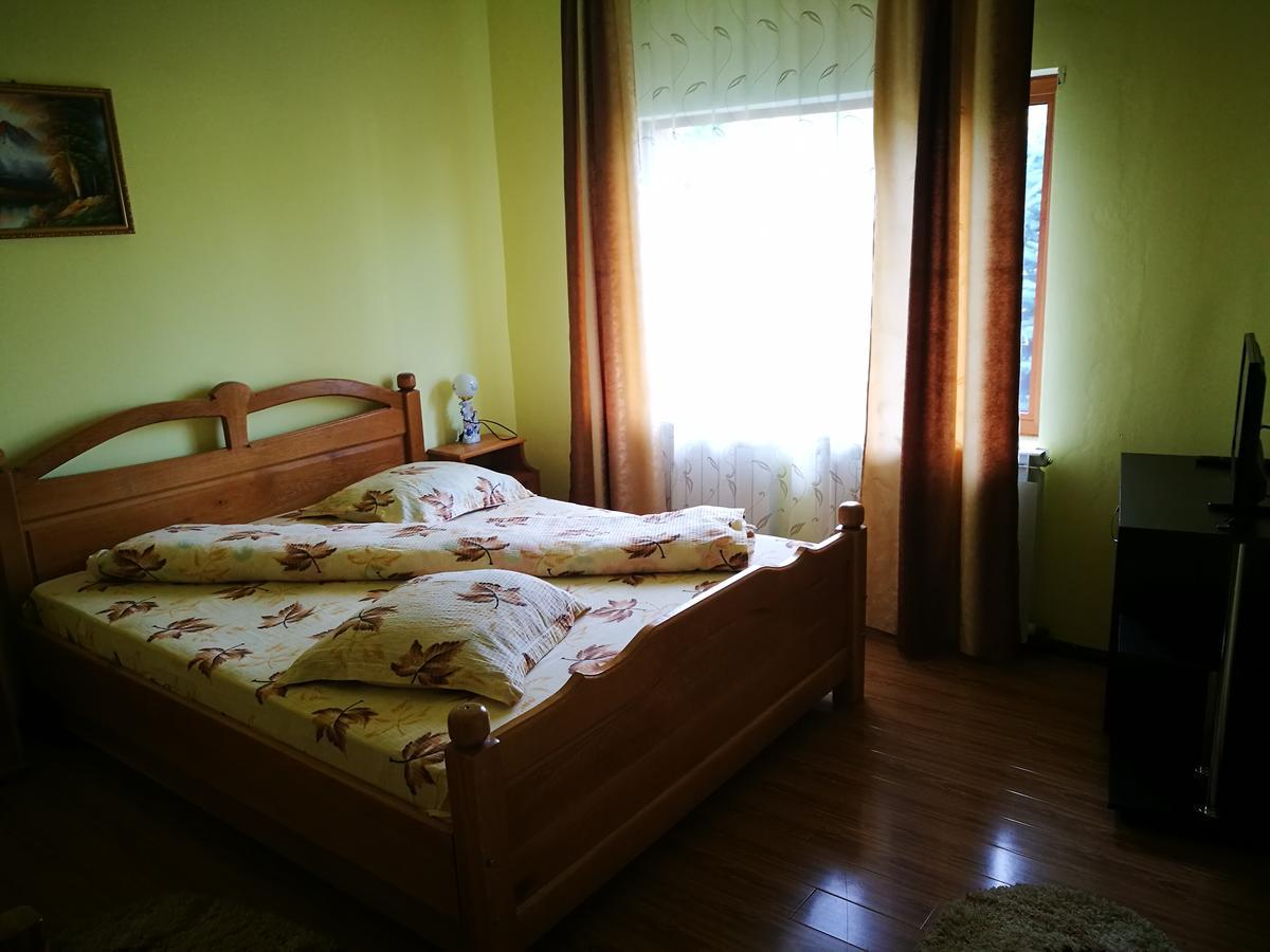 Pensiunea Ramona Cărpinişu Dış mekan fotoğraf