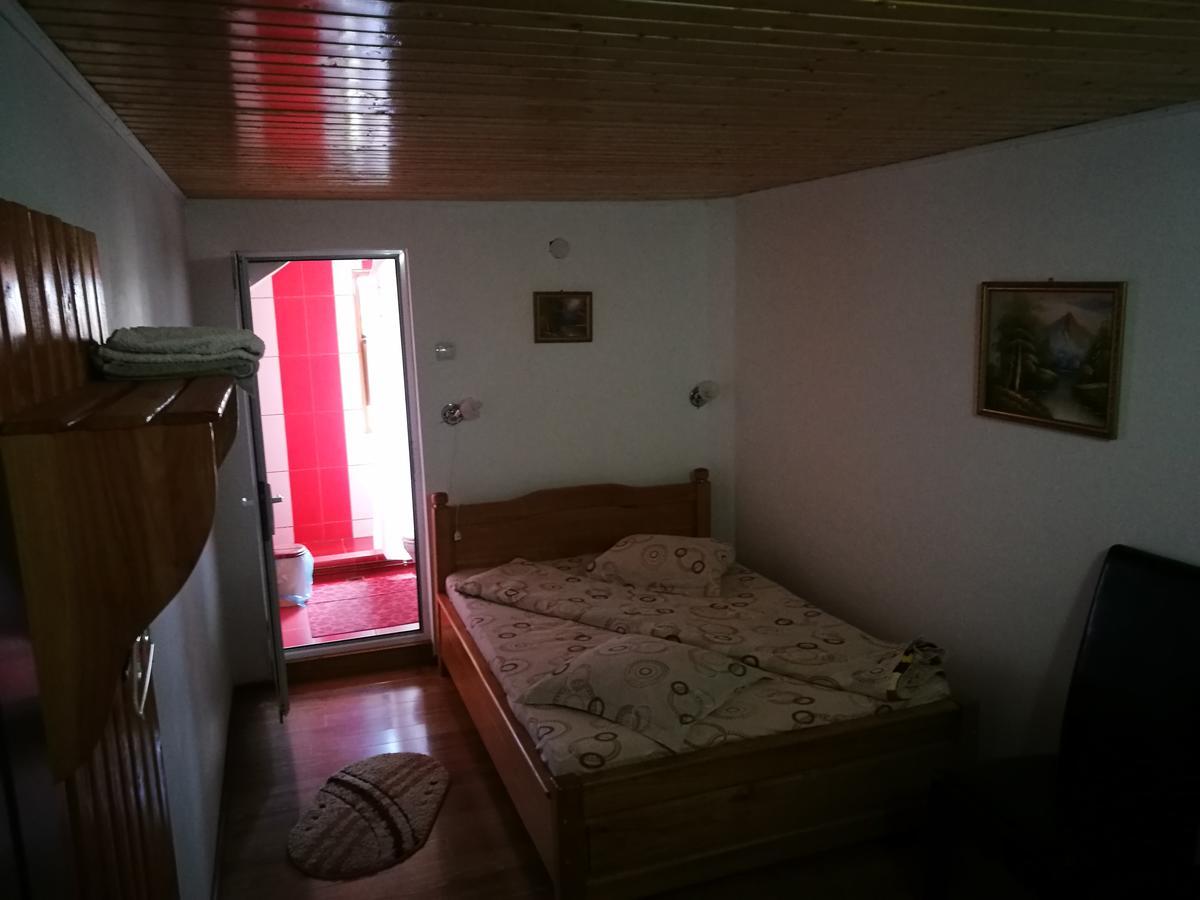 Pensiunea Ramona Cărpinişu Dış mekan fotoğraf