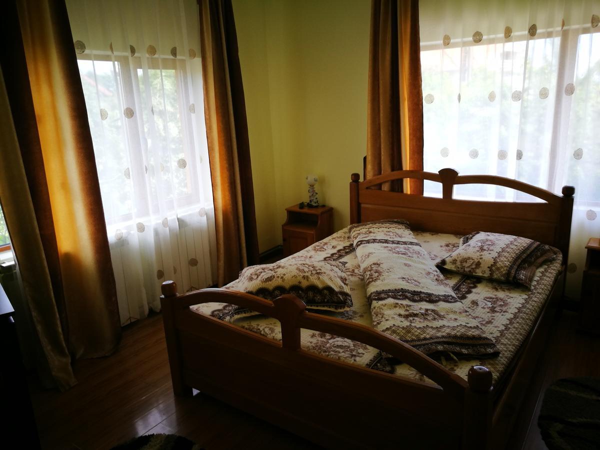 Pensiunea Ramona Cărpinişu Dış mekan fotoğraf