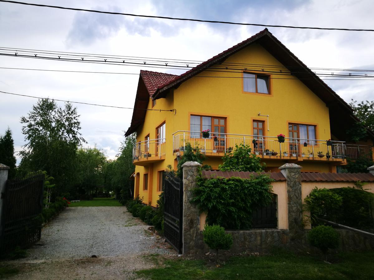Pensiunea Ramona Cărpinişu Dış mekan fotoğraf