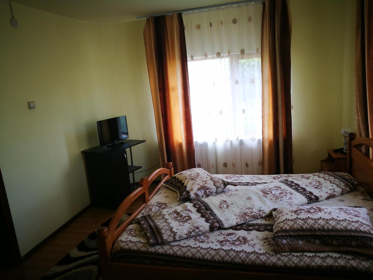 Pensiunea Ramona Cărpinişu Dış mekan fotoğraf