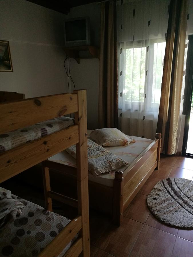 Pensiunea Ramona Cărpinişu Dış mekan fotoğraf