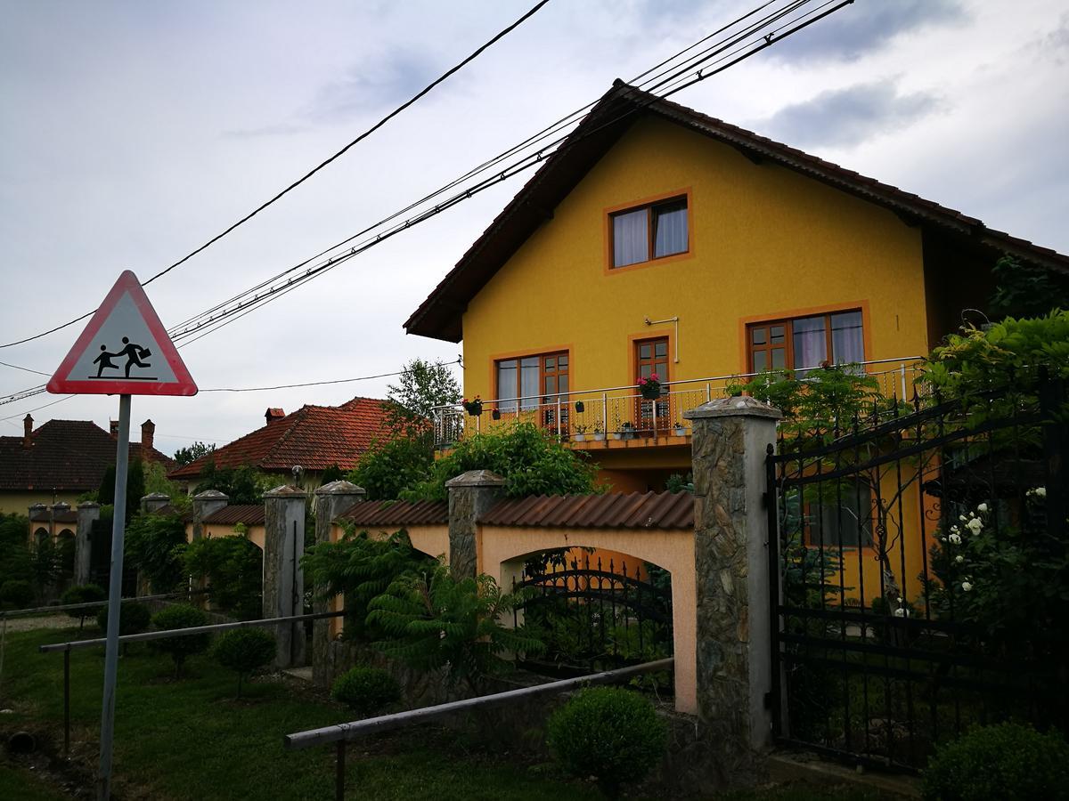 Pensiunea Ramona Cărpinişu Dış mekan fotoğraf