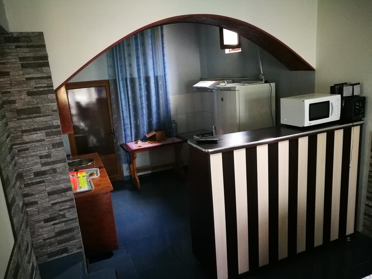 Pensiunea Ramona Cărpinişu Dış mekan fotoğraf