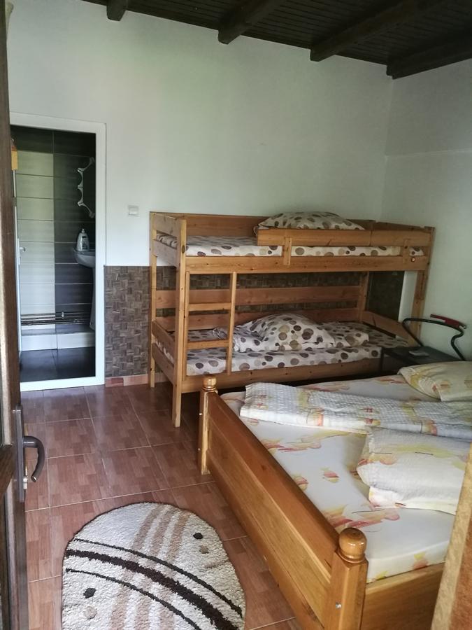 Pensiunea Ramona Cărpinişu Dış mekan fotoğraf